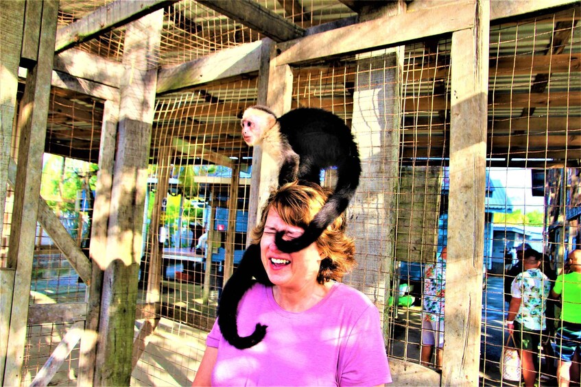 Picture 3 for Activity Roatan: Sloth Park, Horseback Ride & Glass Bottom Boat Tour