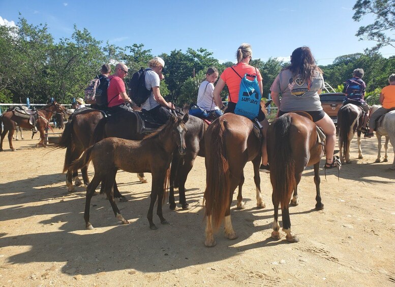 Picture 7 for Activity Roatan: Sloth Park, Horseback Ride & Glass Bottom Boat Tour