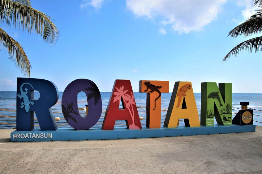 Picture 6 for Activity Roatan: Sloth Park, Horseback Ride & Glass Bottom Boat Tour