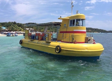 Roatan: Faultierpark, Ausritt & Glasbodenboot-Tour