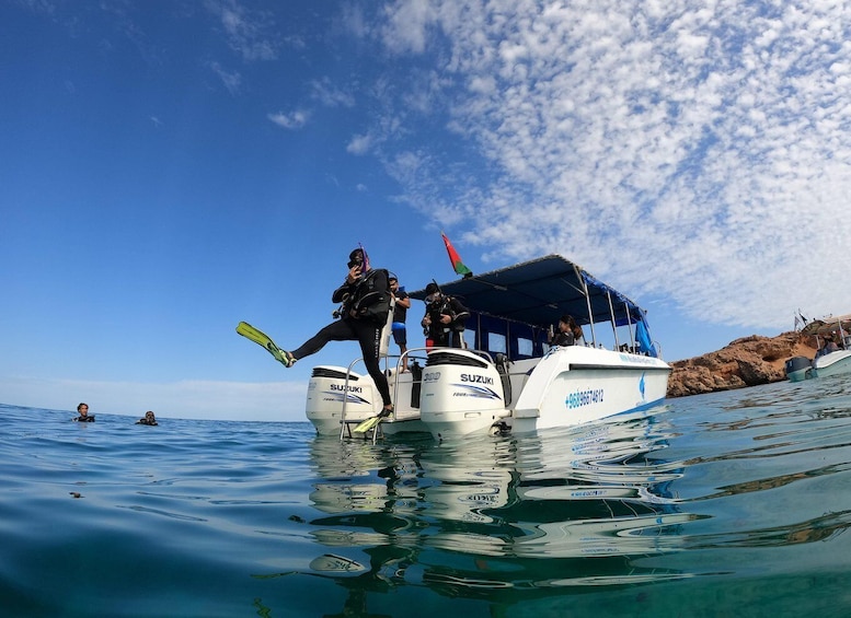 Picture 2 for Activity Muscat: Daymaniyat Island Scuba Dive 2 locations + BBQ Lunch