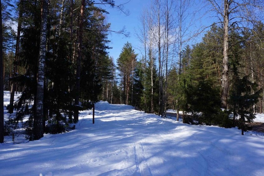 Picture 2 for Activity From Riga: Cross-country skiing and beating heart memorial