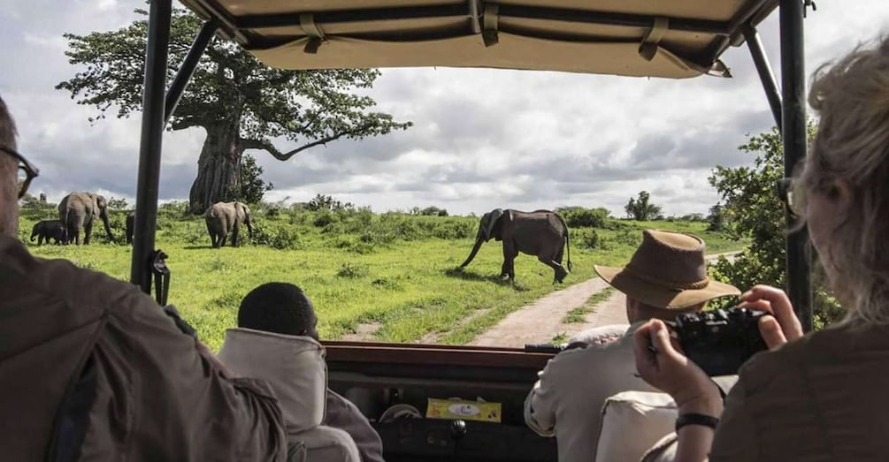 Picture 5 for Activity 7 Days Taste of Kenya Safari Adventure on a 4x4 Land Cruiser