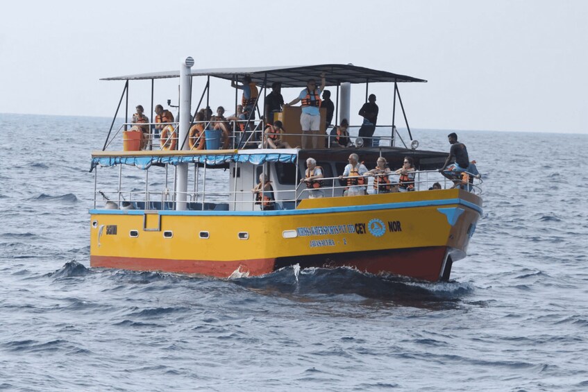 Mirissa Whale Watching Experience with Seafood Lunch