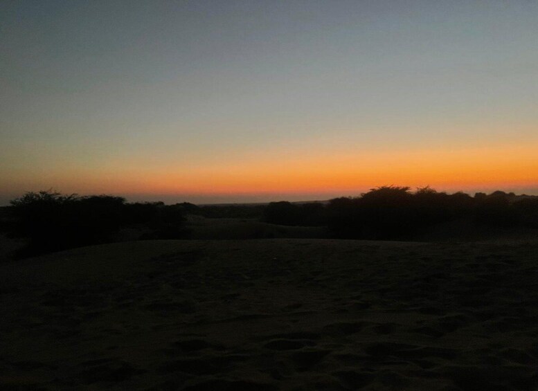 Picture 8 for Activity Jaisalmer our night camel safari in sand dunes under star