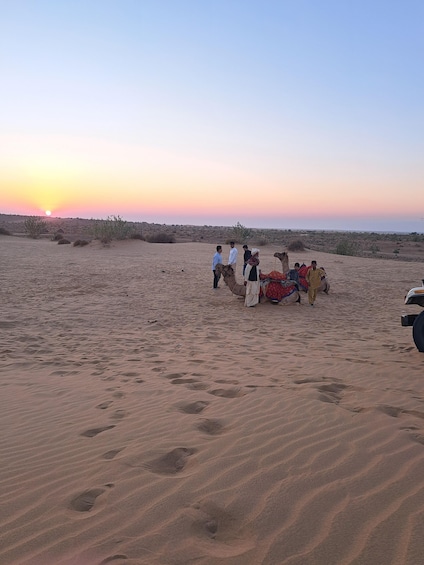 Picture 20 for Activity Jaisalmer our night camel safari in sand dunes under star