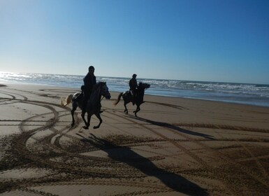 Desde Essaouira: pintoresco paseo a caballo por Diabat con traslado