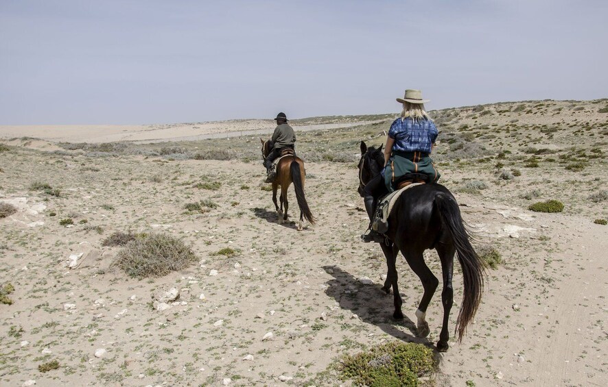 Picture 3 for Activity From Essaouira: Scenic Diabat Horseback Ride with Transfer