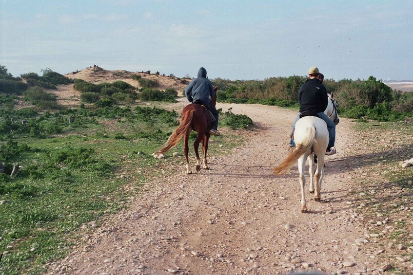 Picture 4 for Activity From Essaouira: Scenic Diabat Horseback Ride with Transfer