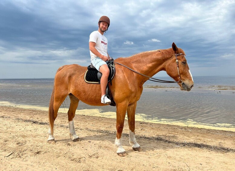 Picture 3 for Activity Riga Horse Riding tour along the Beach