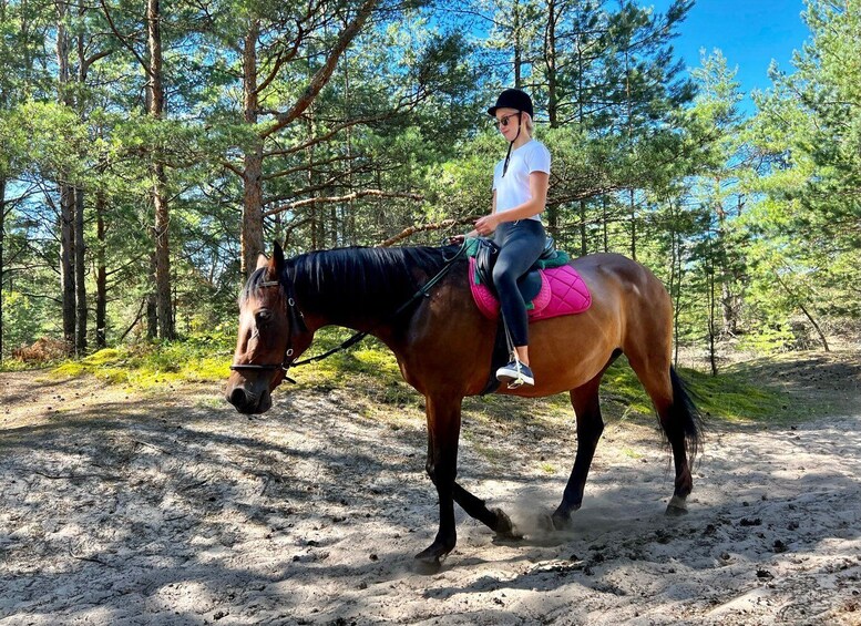 Picture 9 for Activity Riga Horse Riding tour along the Beach