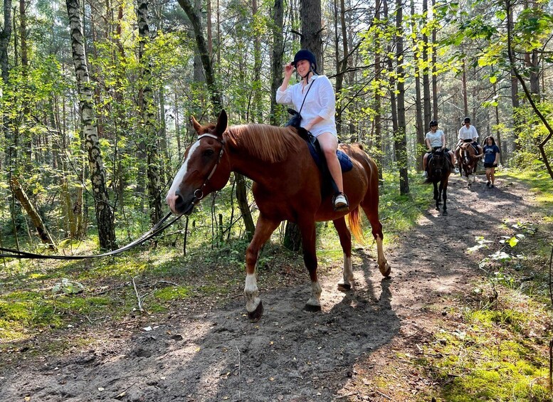 Picture 13 for Activity Riga Horse Riding tour along the Beach