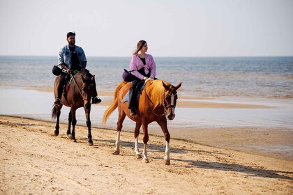 ทัวร์ขี่ม้าริการิมชายหาด