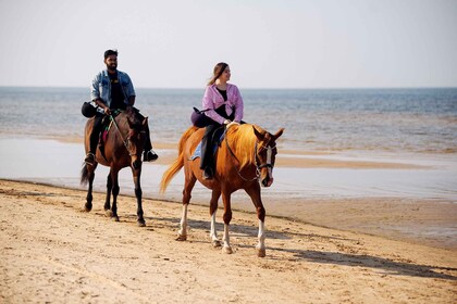 Recorrido a caballo por la playa de Riga