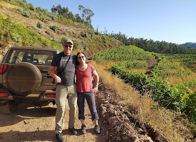 Private Half-Day Tour of Wine Fields