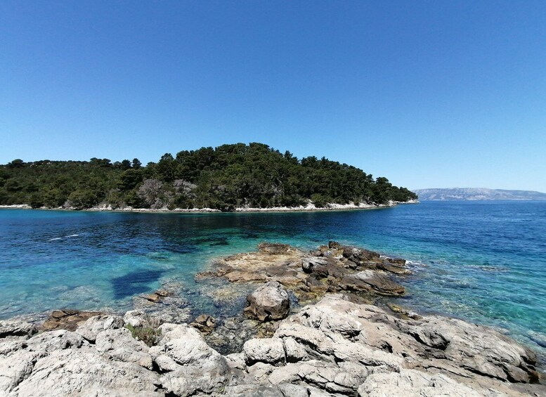 Picture 4 for Activity From Dubrovnik: Mljet National Park & Elaphiti Islands Trip