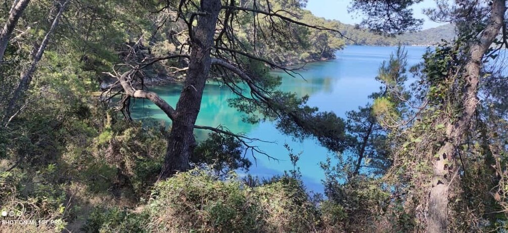 Picture 11 for Activity From Dubrovnik: Mljet National Park & Elaphiti Islands Trip