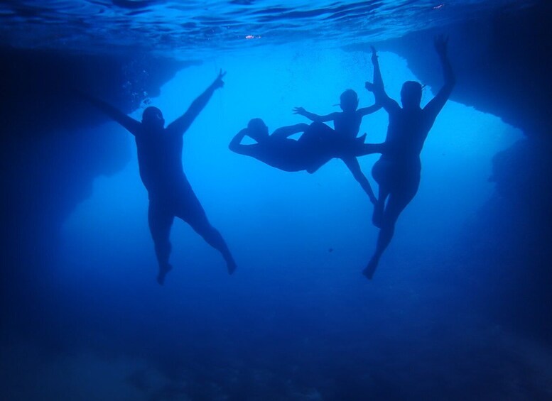 Picture 8 for Activity From Dubrovnik: Mljet National Park & Elaphiti Islands Trip