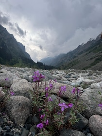 (All in One-Day) Ala-Archa National Park & Bishkek City Tour