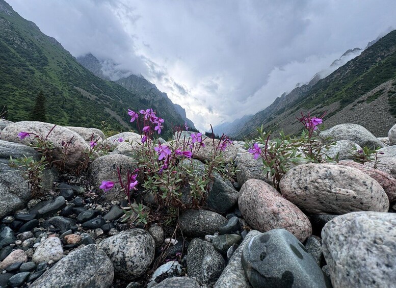Picture 34 for Activity (All in One-Day) Ala-Archa National Park & Bishkek City Tour