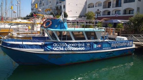 Gibraltar : Bateau d'observation des dauphins excursion