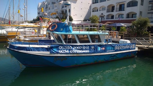 Gibraltar: Båttur med delfinsafari