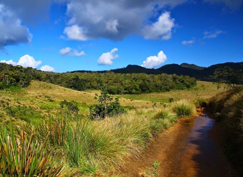 Picture 5 for Activity Ella to Horton Plains with Bakers Falls & Train Delights