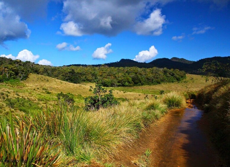 Picture 5 for Activity Ella to Horton Plains with Bakers Falls & Train Delights