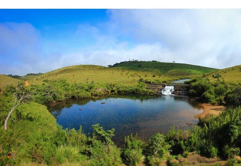 Picture 6 for Activity Ella to Horton Plains with Bakers Falls & Train Delights