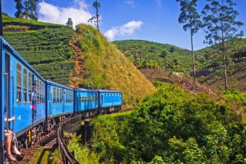 Picture 7 for Activity Ella to Horton Plains with Bakers Falls & Train Delights