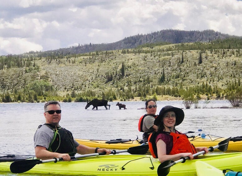 Picture 4 for Activity Frisco: Dillon Reservoir Guided Island Tour by Kayak