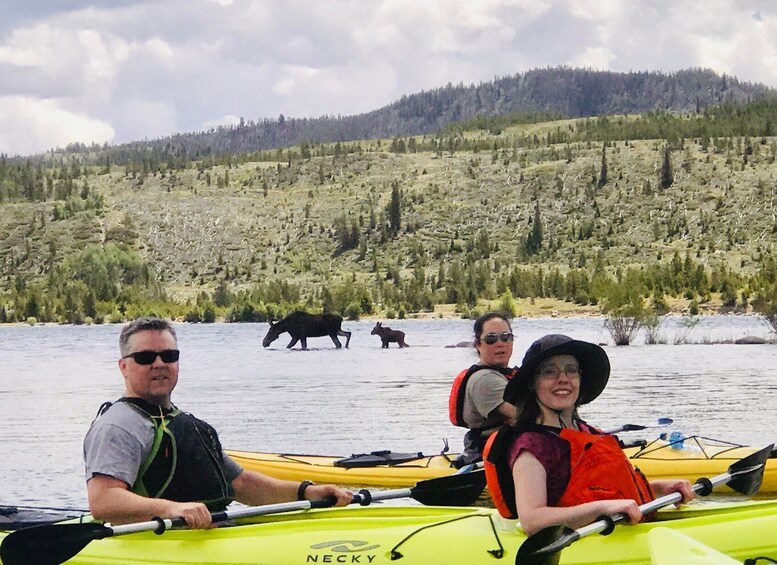 Picture 4 for Activity Frisco: Dillon Reservoir Guided Island Tour by Kayak