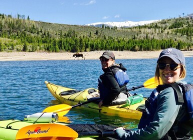 Frisco: Dillon Reservoir Guided Island Tour by Kayak