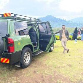 Excursión privada: senderismo con gorilas, conducción de animales en Uganda...