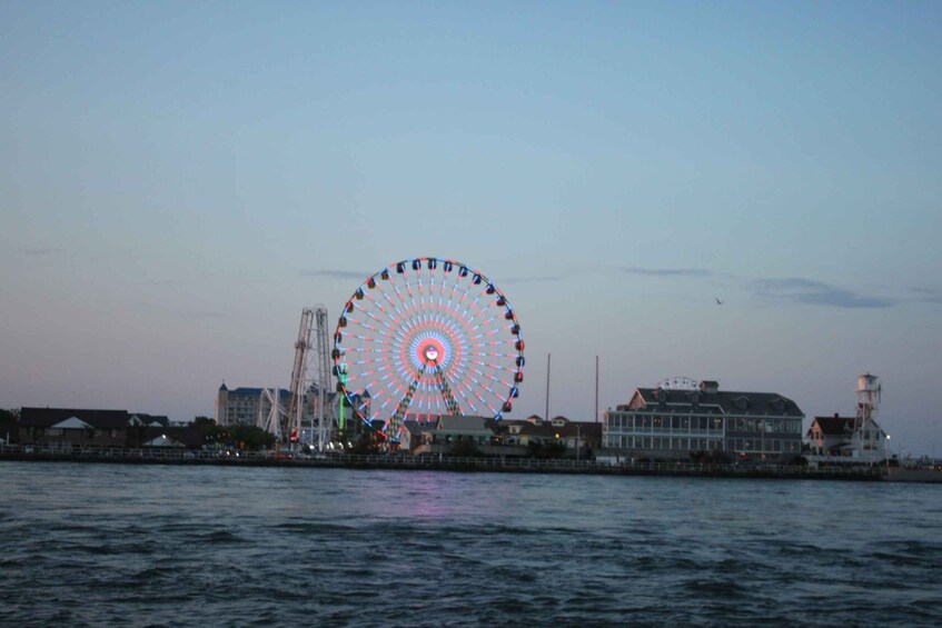 Picture 2 for Activity Ocean City, MD: Coastal Speedboat Tour with Dolphin Spotting