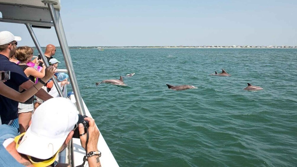 Picture 1 for Activity Ocean City, MD: Coastal Speedboat Tour with Dolphin Spotting