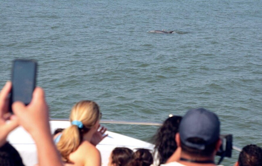 Picture 5 for Activity Ocean City, MD: Coastal Speedboat Tour with Dolphin Spotting