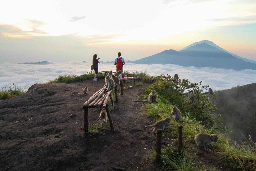Picture 3 for Activity Bali: Mount Batur Sunrise Hike and Hidden Waterfall