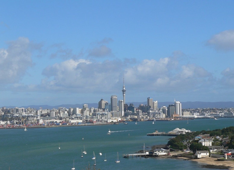 Picture 5 for Activity Auckland: Devonport Village Segway Tour