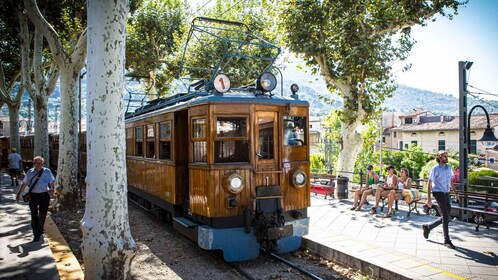 From Alcúdia: Soller Train and Tram Half Day Tour