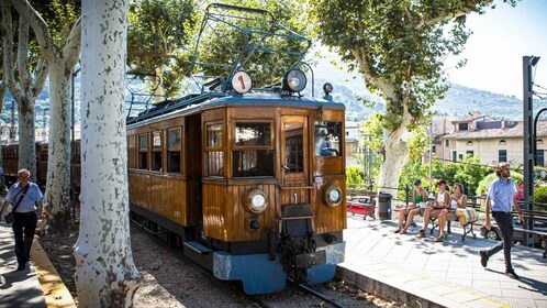 Desde Alcúdia: Excursión de Medio Día en Tren y Tranvía de Sóller