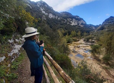 Desde Siracusa: caminata guiada a la reserva natural de Cavagrande