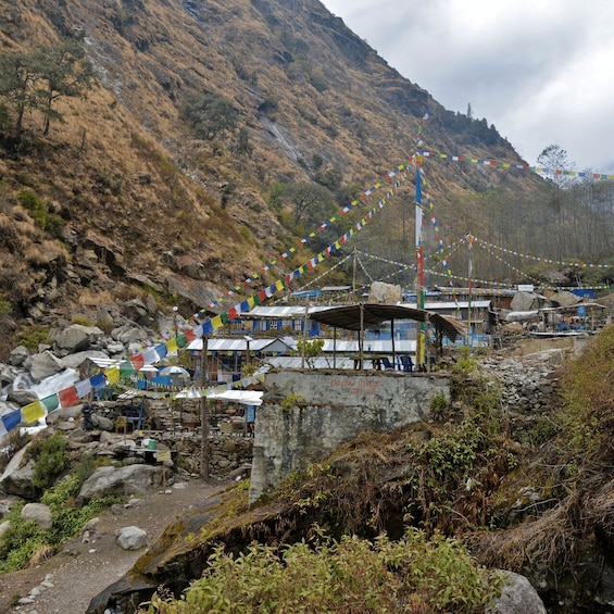 Picture 2 for Activity From Kathmandu: 16-Day Langtang Valley Trekking Tour