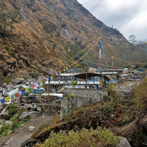 Picture 2 for Activity From Kathmandu: 16-Day Langtang Valley Trekking Tour