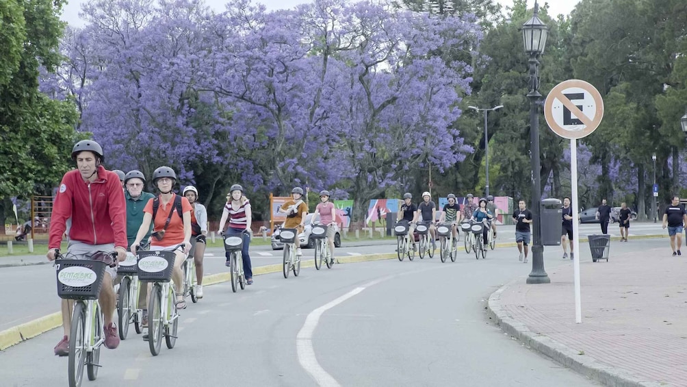 Picture 7 for Activity Buenos Aires: North or South Buenos Aires Bike Tour