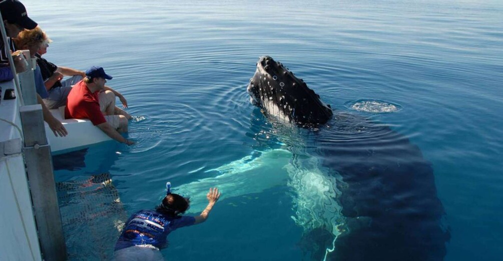 Picture 8 for Activity From Mirissa: Private Whale Watching Tour With Sunset