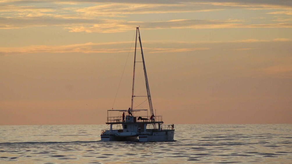 Picture 3 for Activity From Mirissa: Private Whale Watching Tour With Sunset