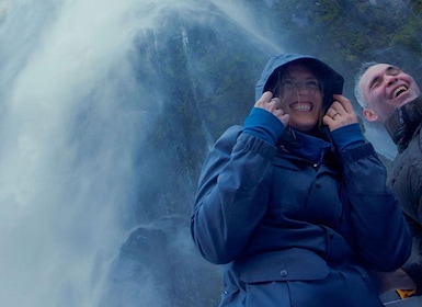 Milford Sound: Small-Group Tour from Te Anau