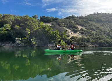 CANOEING IN SEDGEFIELD AT OYSTERS EDGE, GARDEN ROUTE