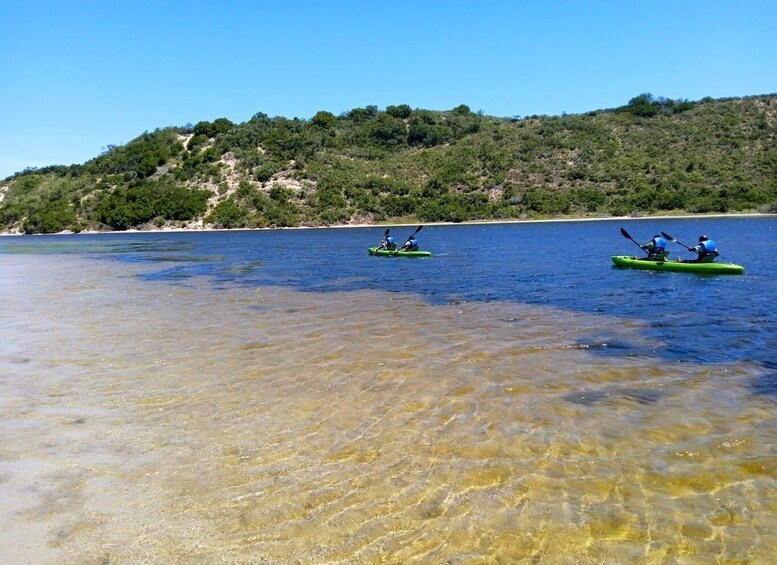 Picture 7 for Activity CANOEING IN SEDGEFIELD AT OYSTERS EDGE, GARDEN ROUTE